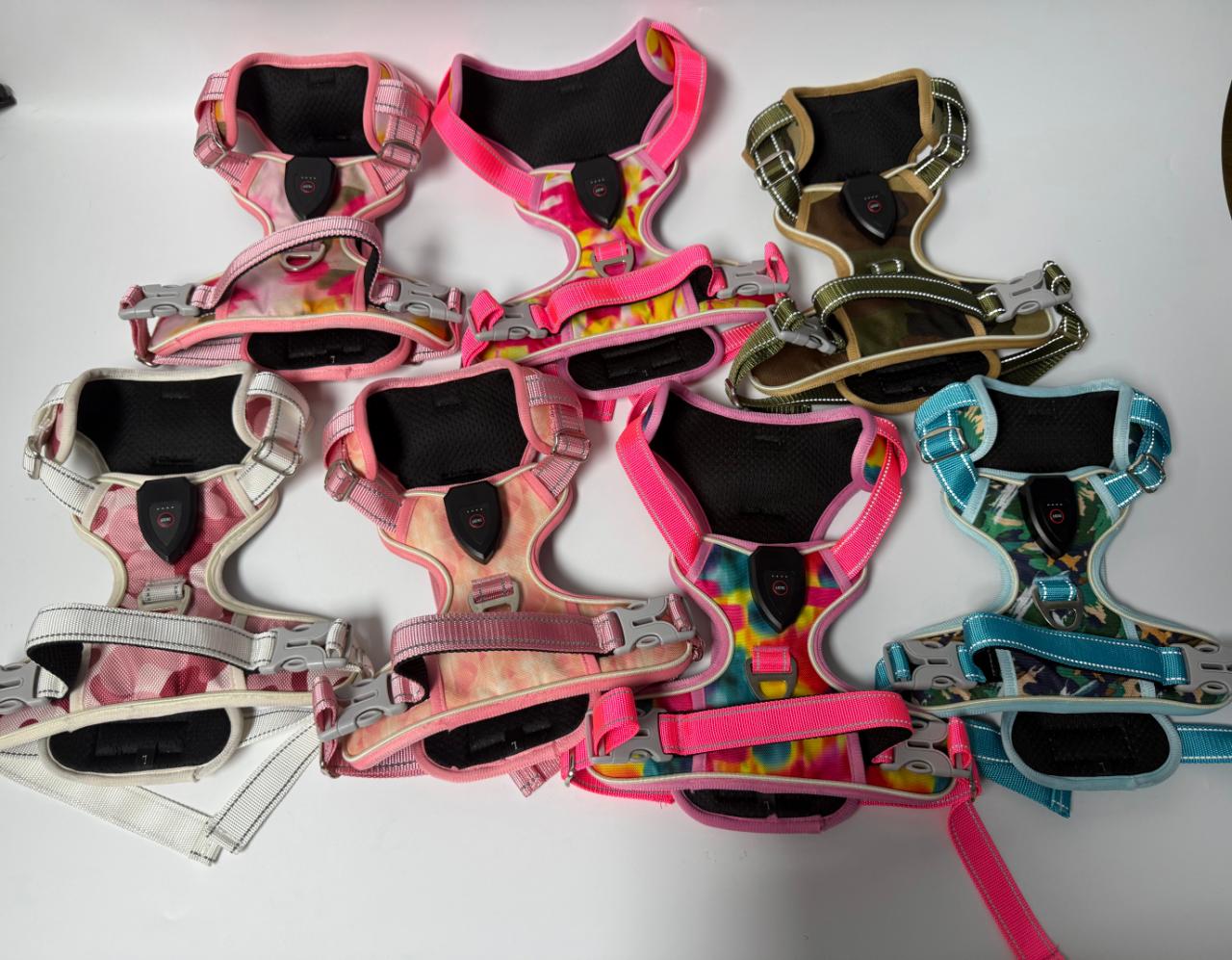 Mixed-color dog harness collection