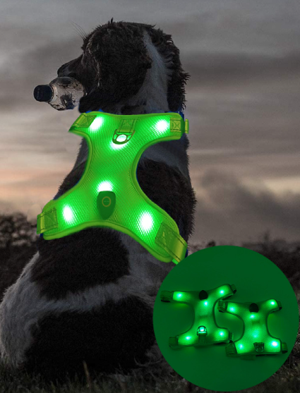 Green mesh LED dog harness worn by a dog, with illuminated panels