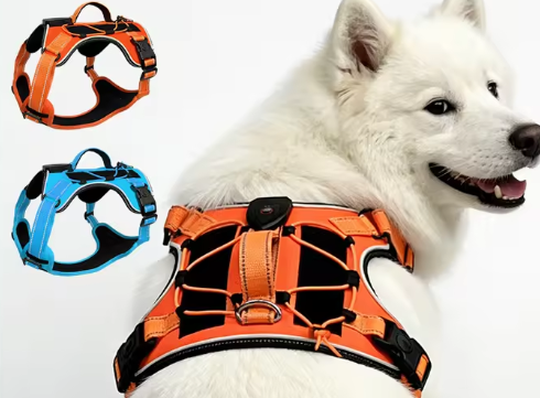 Orange Oxford LED dog harness shown on a dog, with orange and blue finish references